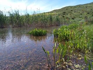 Little Blackberry Lake
