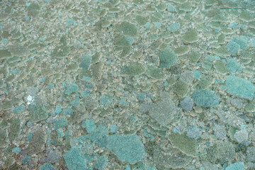 Zerbrochene Glasscheiben im wertstoff Container