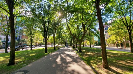 Obraz premium sunny alley in a park with roads on side