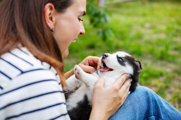 Beautiful woman in a striped t-shirt happily plays with a small husky puppy in the park outdoors