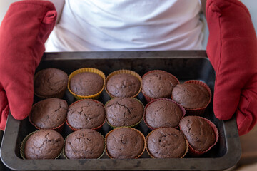 Chef is holding tray of chocolate muffins. Process of making cupcakes.