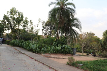 park plants