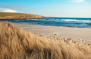 Fototapeta na wymiar Sandy beach, Dingyshowe in Orkney