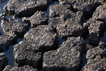 Earth cracked because of drought. The global shortage of water on the planet. Global warming concept.