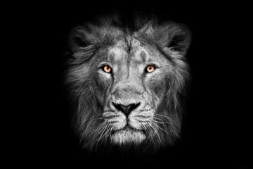 Wandcirkels tuinposter maan maan met fel oranje ogen leeuw gezicht mannelijke leeuw volledig scherm zwart rode manen serieuze blik © Mikhail Semenov