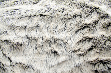White and grey fur textured background