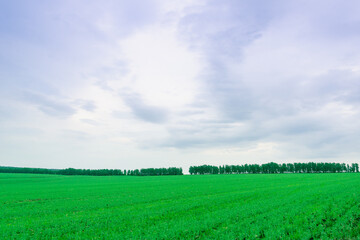 Green field and trees in the background.