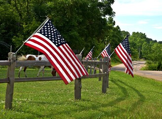american flag in the garden