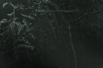abstract black and light green colors background for design