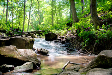 A small creek cascades down a rocky hill in the middle of a lush green forest.
