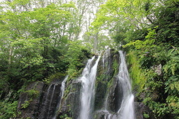 新緑の中の小さな滝
