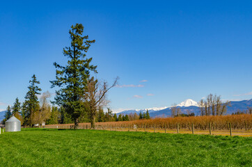 Farmland and mountains covering with snow