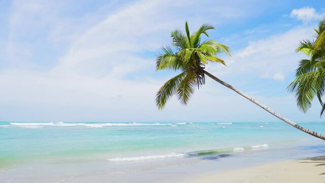 Clear blue sea and white sand. Bahamas palms beach landscape. Beach and sea and sky tropical paradise beach background.