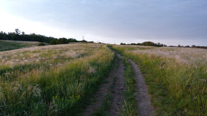 path in the evening meadow