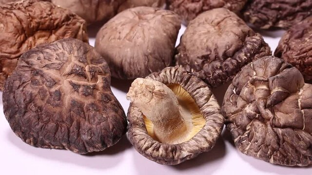 白背景の干し椎茸