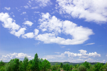 beautiful sky with cumulus clouds and forest horizon. summer landscape.
