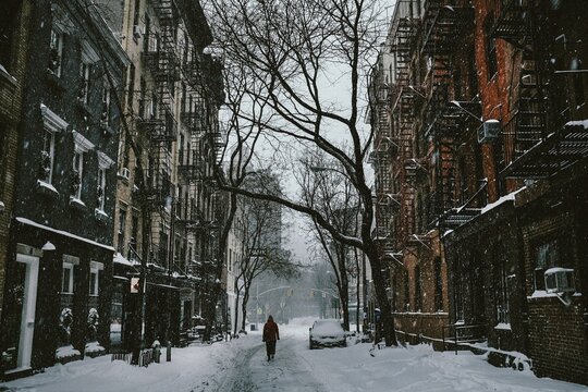 cold holidays networks web scenery