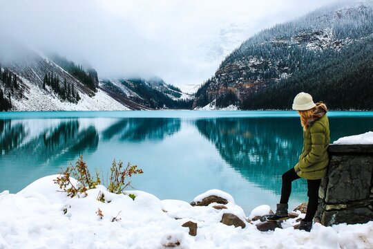cold holidays networks web scenery