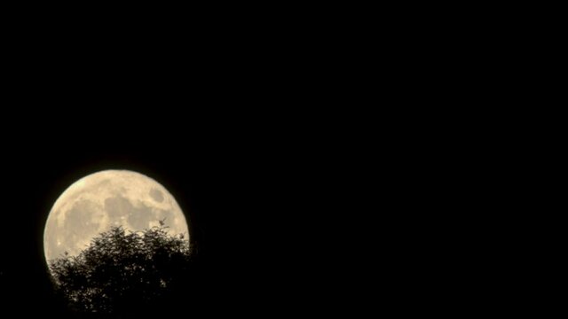 20150916Fullmoon