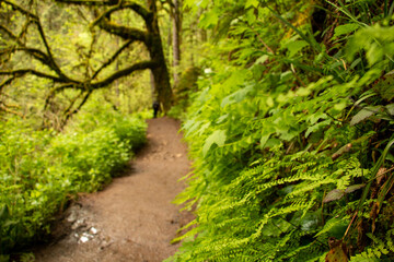 path in the cascades
