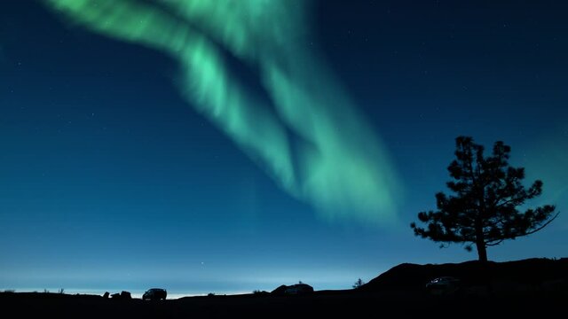 Aurora Borealis Green Loop Overlook with Tree Northern Lights