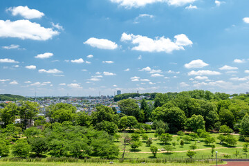 Fototapeta premium 初夏の青空と狭山公園の風景