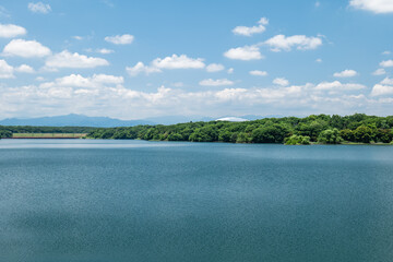 初夏の村山貯水池（多摩湖）の風景　