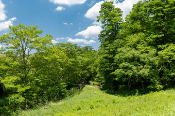 初夏の青空と狭山公園の風景