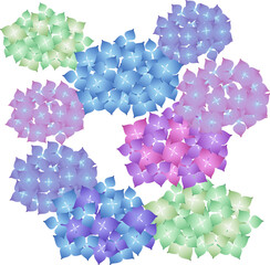 色とりどりの紫陽花のイラスト