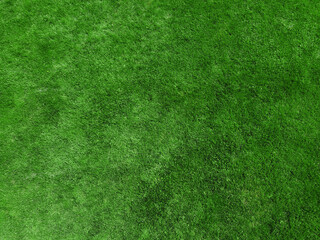 Fototapeta na wymiar real green grass background for design