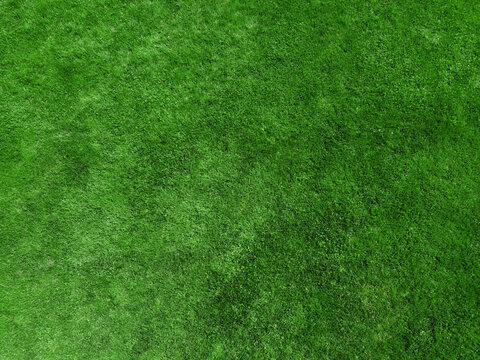 real green grass background for design
