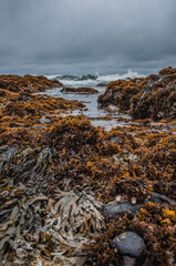 Crashing Waves