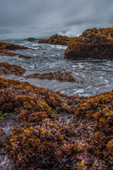 waves on the rocks
