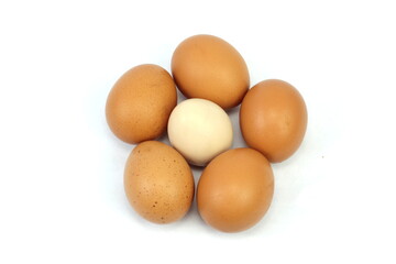 Group of six chicken eggs, white egg on center isolated on white background
