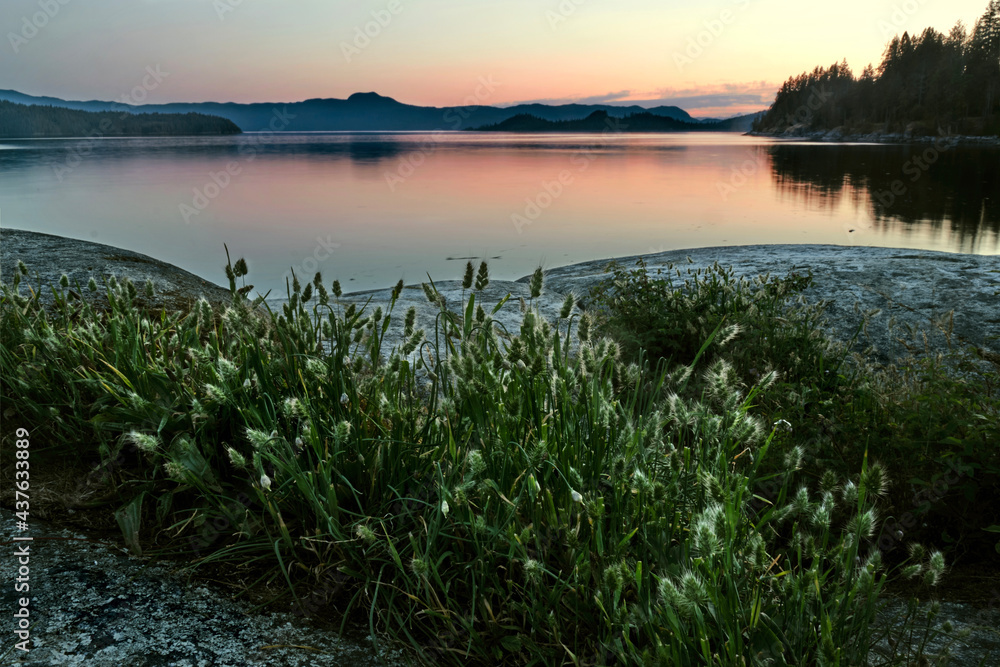 Wall mural Sunset over the sea with view of islands and reflections. Grass on rocks near Saltery Bay. British Columbia. Canada 