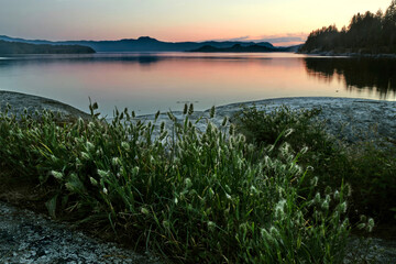 Sunset over the sea with view of islands and reflections. Grass on rocks near Saltery Bay. British Columbia. Canada 