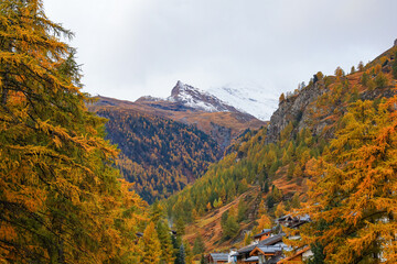 Fototapeta premium View of landscape snow alp mountain in autumn at swiss