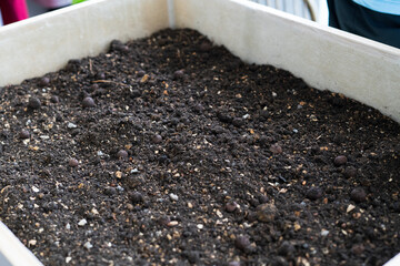 Soil in a wooden planter box.