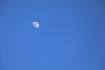 moon in the sky
