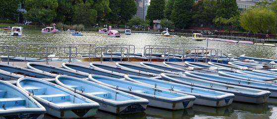 Obraz premium 池とボート