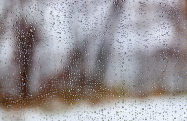 Moody Window Raindrops in Winter