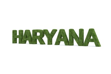 3d rendering of green grass HARYANA word isolated on white background