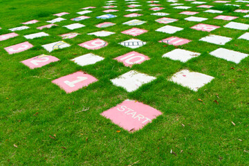Snake ladder blocks game with start,number letter on block on the grass yard at the...