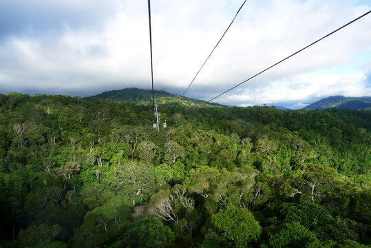 view of the skyrail rainforest cableway