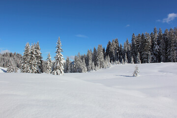 Fototapeta na wymiar Kleinwalsertal - Winter / Kleinwalsertal - Winter
