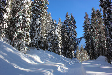 Kleinwalsertal - Winter / Kleinwalsertal - Winter