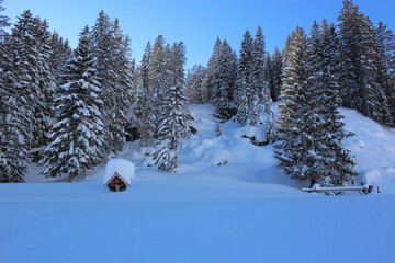 Kleinwalsertal - Winter / Kleinwalsertal - Winter