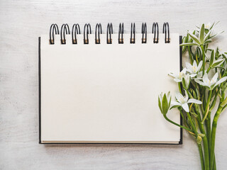 Blank notepad sheet for your congratulatory message. Closeup, view from above. No people. Concept of preparation for a holiday. Congratulations for relatives, friends and colleagues