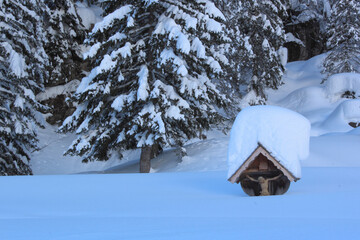 Kleinwalsertal - Winter / Kleinwalsertal - Winter