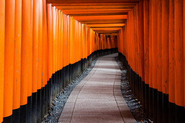 Fototapeta premium Red torii gate in Fushimi Inari shrine, Kyoto